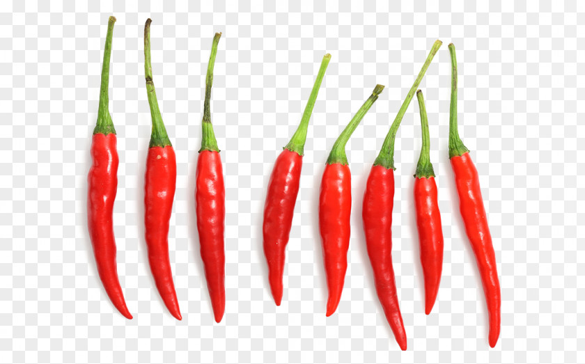 Neatly Arranged Red Small Pepper HD Photography Birds Eye Chili Habanero Tabasco Facing Heaven Cayenne PNG