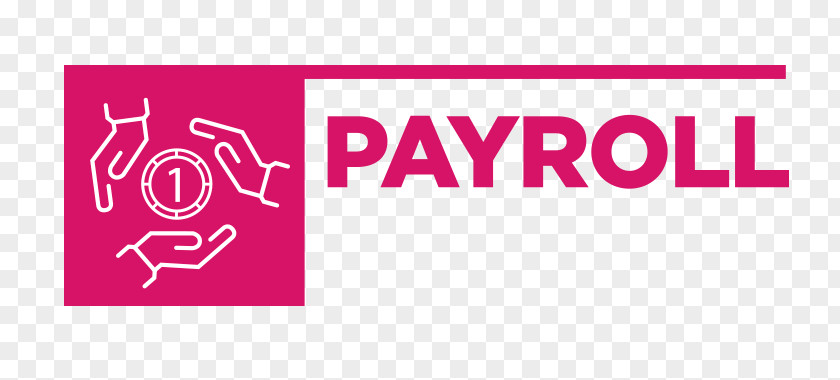 Recruiting Payroll Human Resource Management Service Business Administration PNG