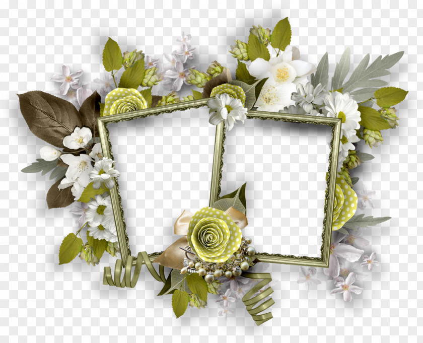 Square Frame Flower Picture Frames PNG