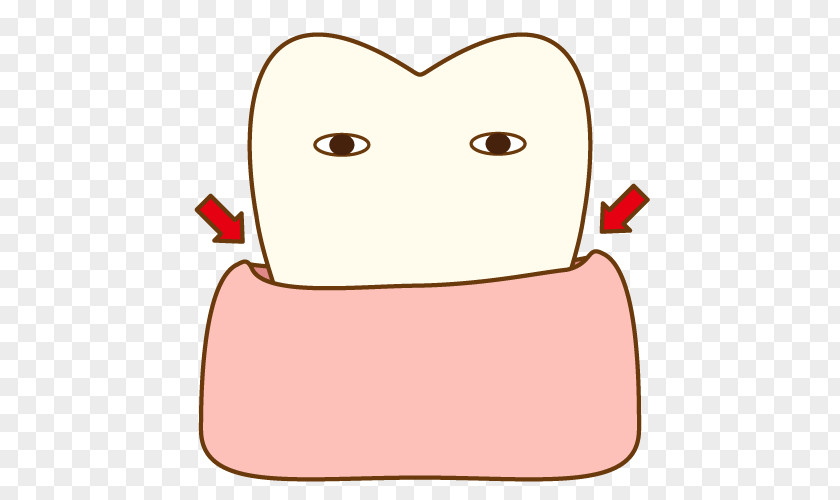 Teath Dentistry Tooth Dentition Periodontal Disease Clip Art PNG