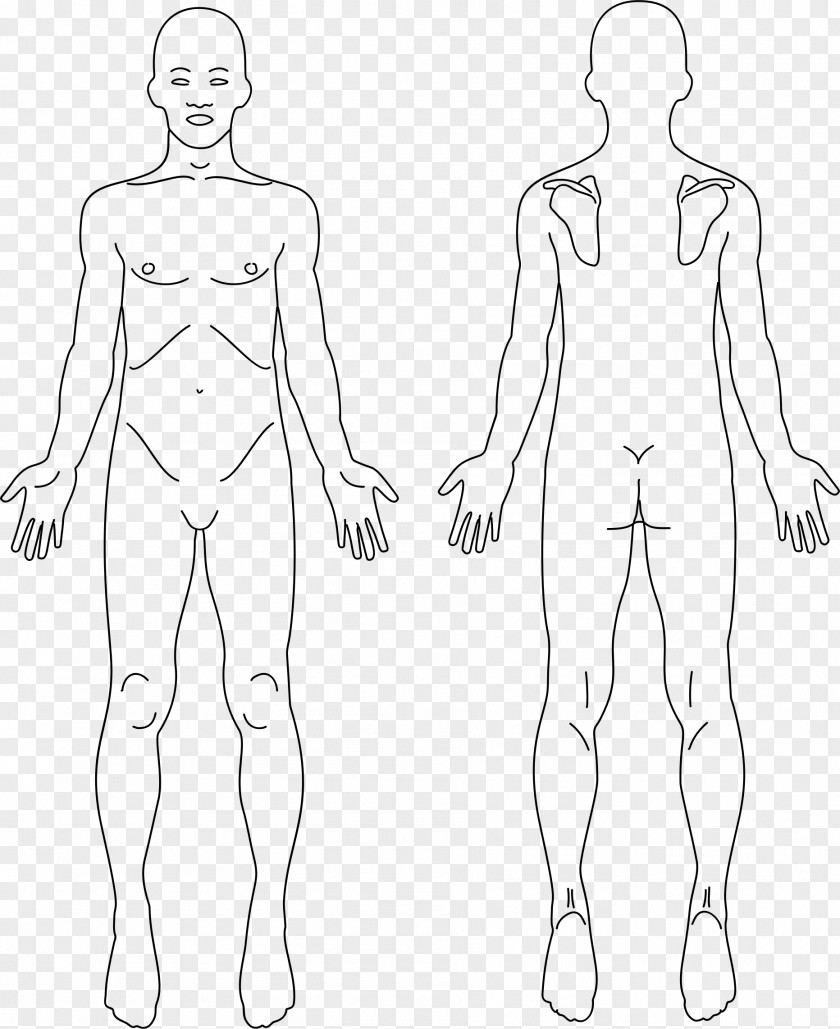 Anatomy Human Body Back Pain Clip Art PNG