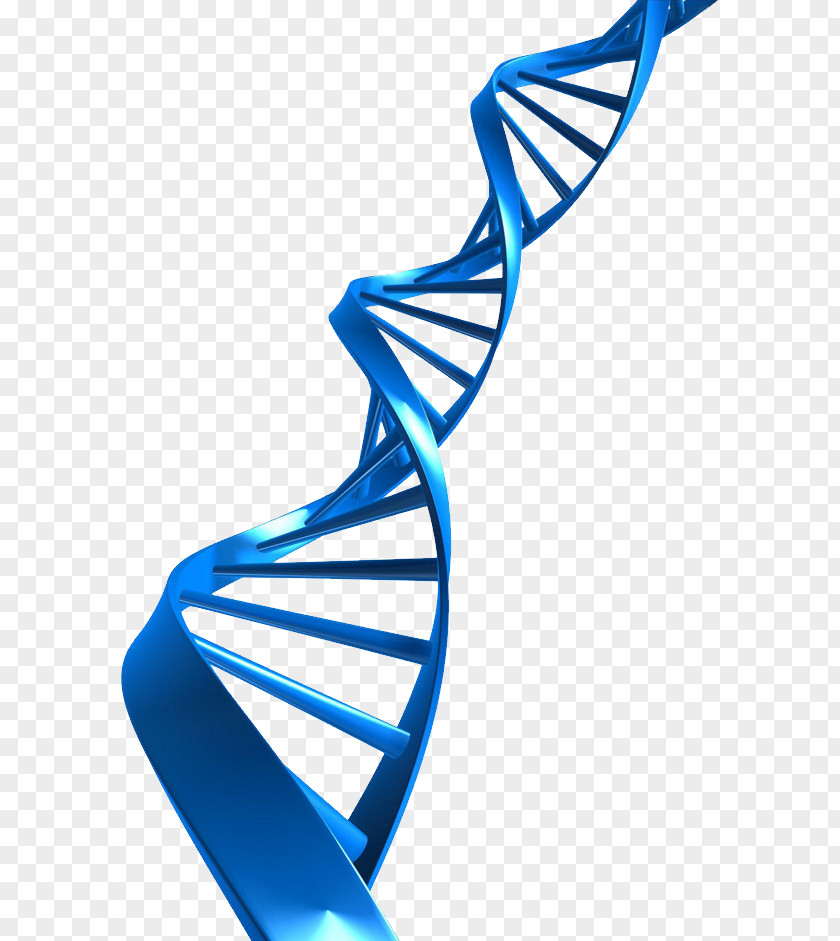Book The Double Helix: A Personal Account Of Discovery Structure DNA Nucleic Acid Helix Clip Art PNG