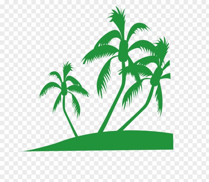 Grass Plant Stem Palm Tree PNG