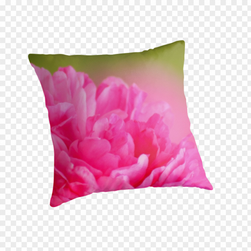 Tulip Throw Pillows Cushion Pink M PNG