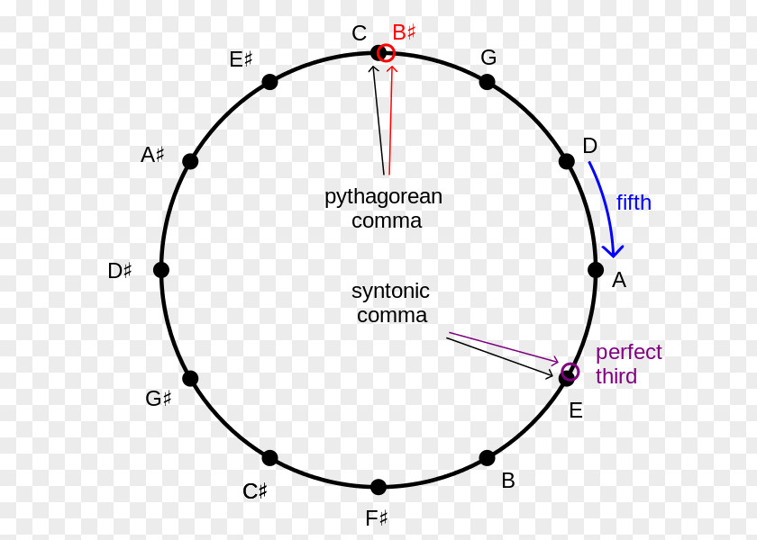 Circle Unit Point Trigonometry Sine PNG
