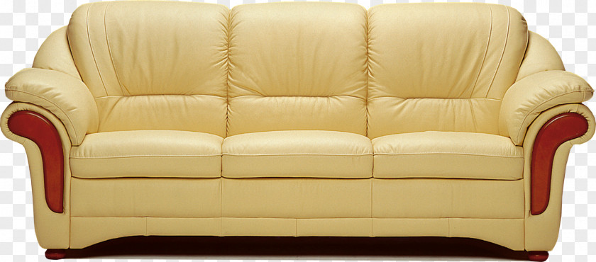Furniture Materials Loveseat Couch Table Divan PNG