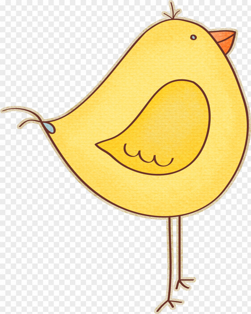 Hand Drawn Cute Chick Chicken Illustration PNG