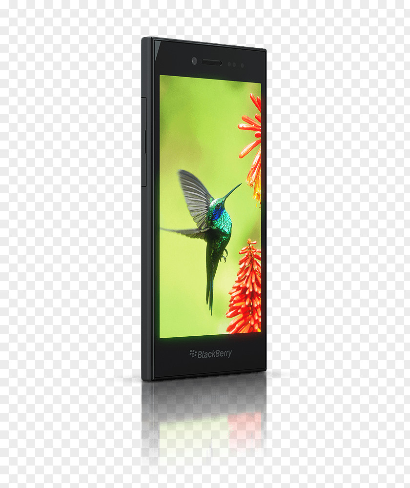 Large Screen Phone Smartphone BlackBerry Leap Tangguh Protectors PNG