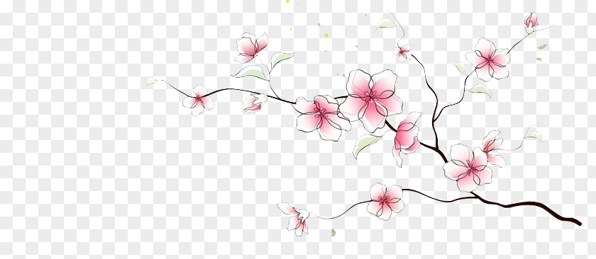 Plum Flower Cherry Blossom Drawing Art PNG