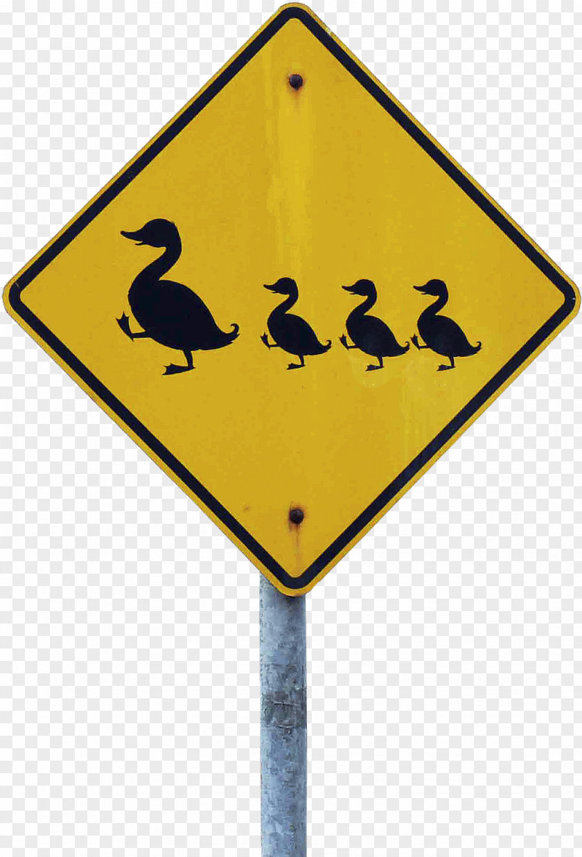 Beak Road Street Sign PNG