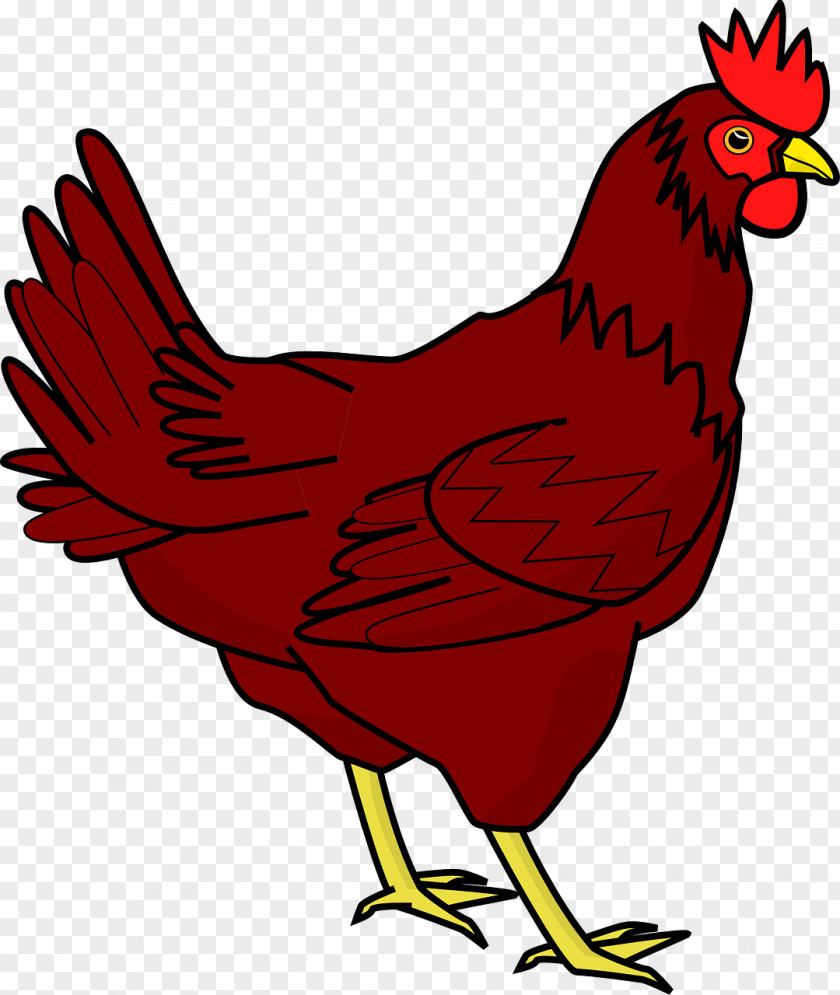 Crimson Cock Chicken Meat Rooster Clip Art PNG
