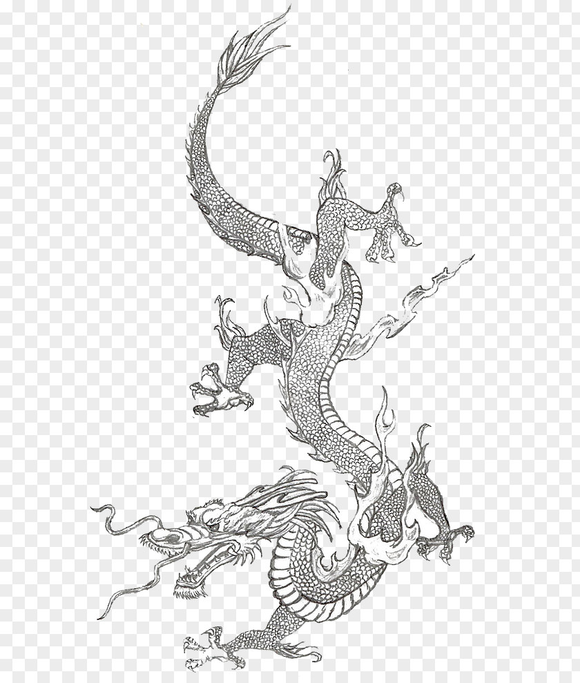 Dragon Chinese China Japanese Sketch PNG
