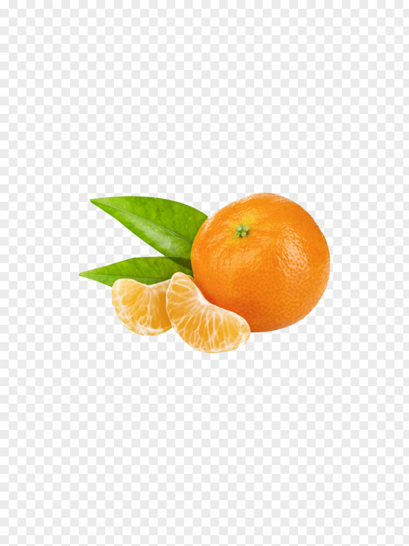 Grapefruit Clementine Mandarin Orange Tangerine Tangelo Bitter PNG
