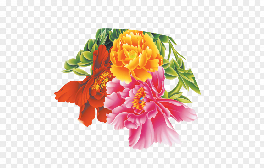 Peony Flower Moutan Floral Design PNG