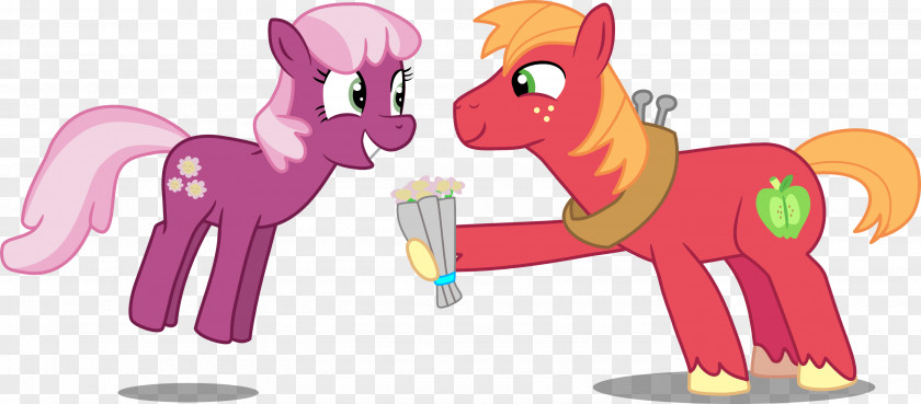 Pony Cheerilee Big McIntosh McDonald's Mac Fluttershy PNG