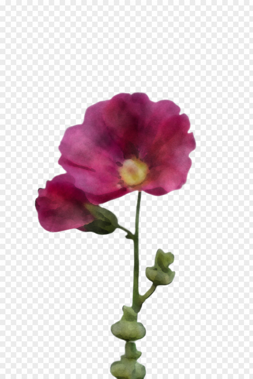Artificial Flower Moth Orchid PNG