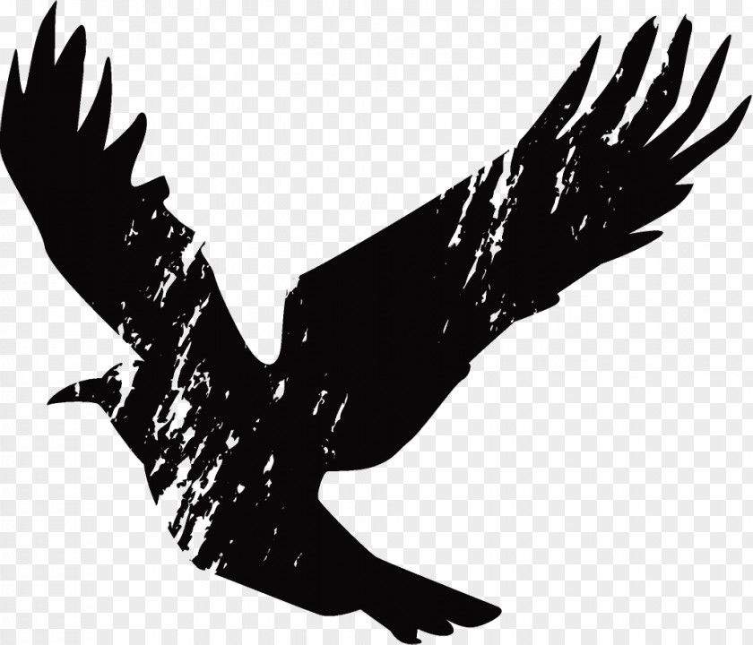 Blackandwhite Claw Raven Halloween Crow PNG