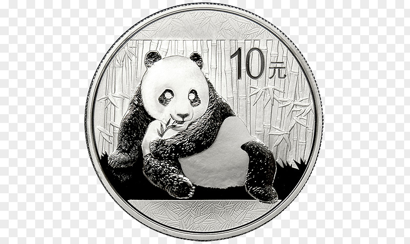 China Coin Giant Panda Chinese Silver Gold PNG