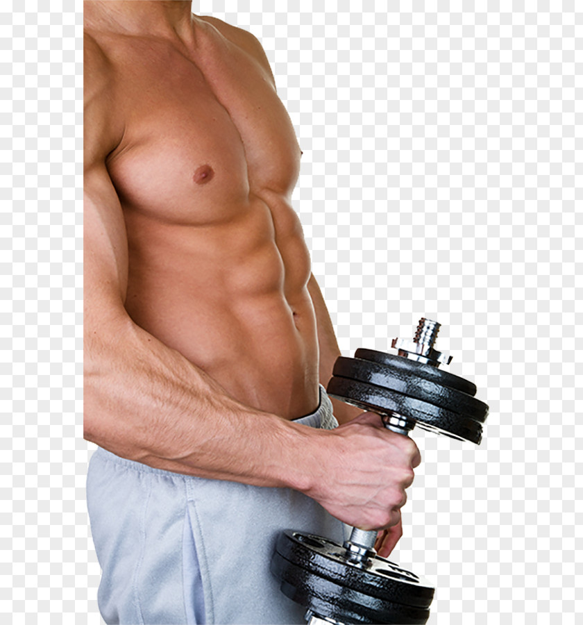Dumbbell Movement Pectoralis Major Muscle PNG
