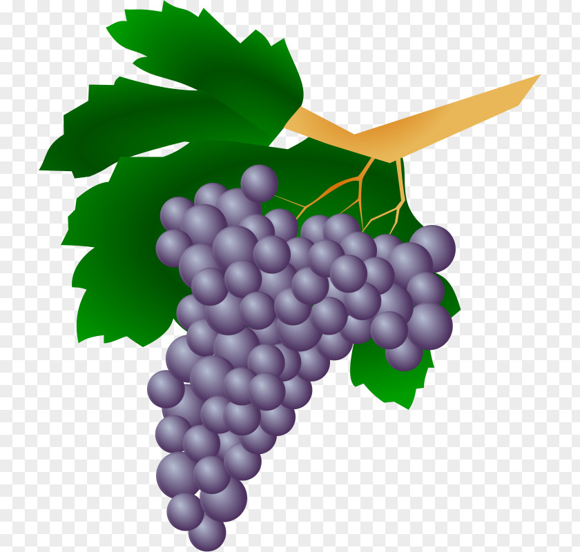 Grape Leaves Pictures Common Vine Wine Juice PNG