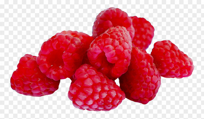 Red Raspberry Loganberry Boysenberry Tayberry PNG