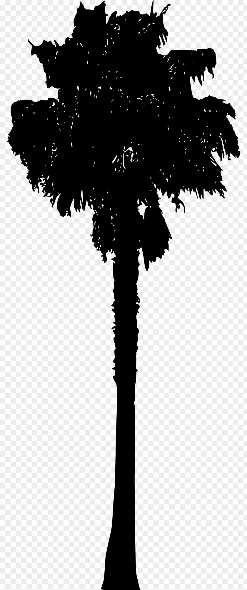 Silhouette Arecaceae PNG