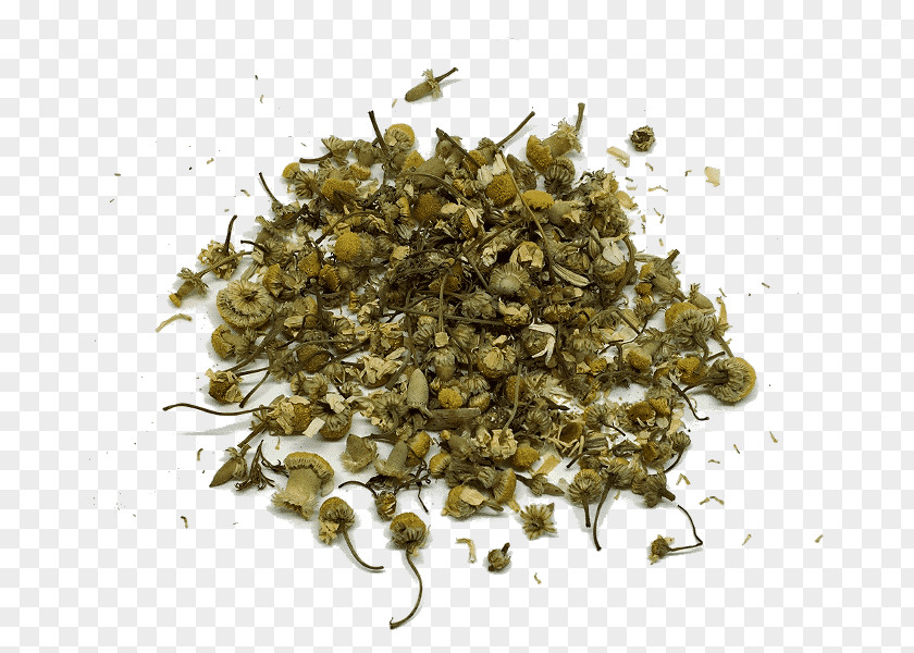 Tea White Biluochun Infusion Digestif PNG