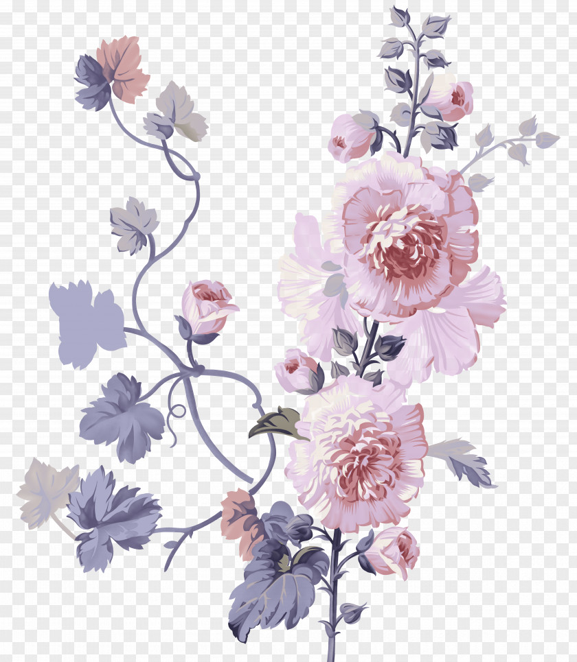 Chrysanthemum Flower Painting PNG