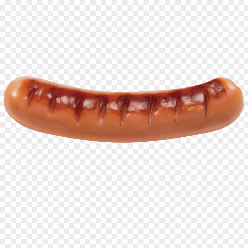 Delicious Hot Dogs Sausage Sandwich Dog Hamburger Barbecue PNG