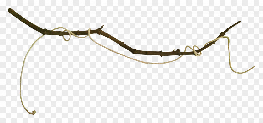 Twig Auto Part Tree Trunk PNG