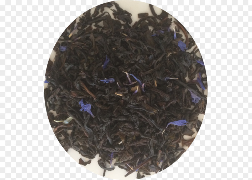 Nilgiri Tea Dianhong Plant PNG