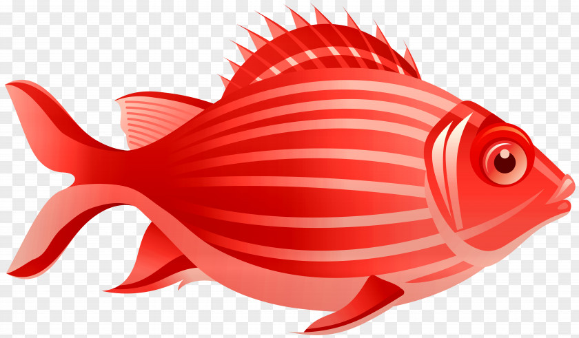 Red Fish Free Vector Graphics Illustration Euclidean PNG