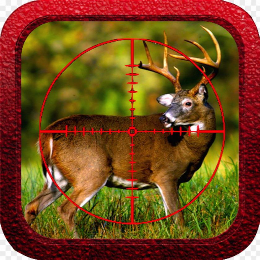 Reindeer Provo Save Outdoor Sport Co Antler PNG