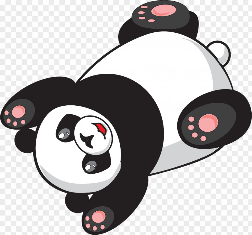 Bamboo Giant Panda Red Bear Cartoon Drawing PNG