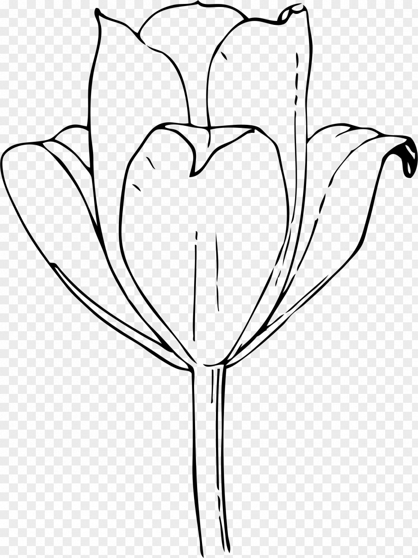 Child Coloring Book Tulip Adult Flower PNG