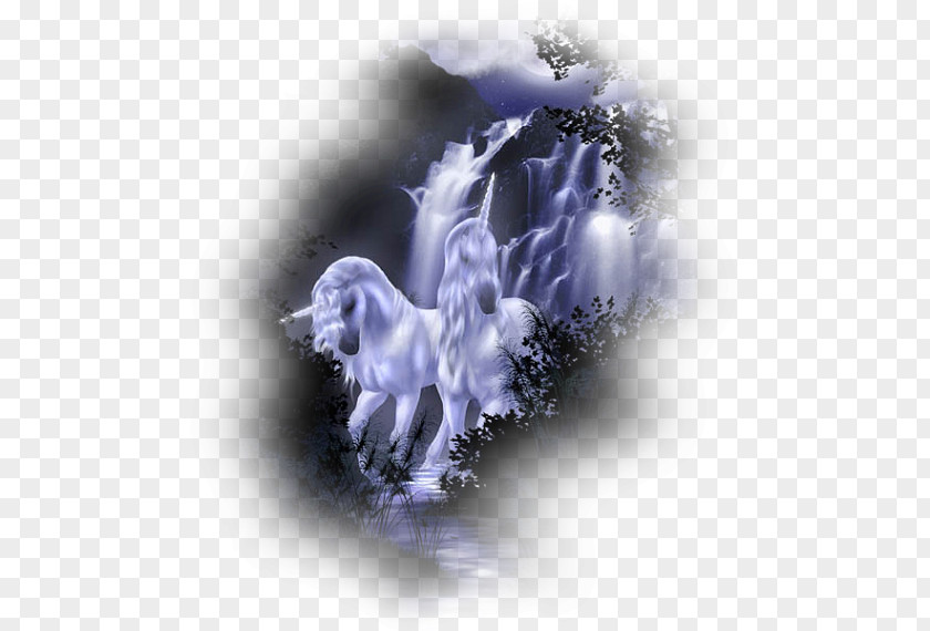 Desktop Wallpaper Unicorn Horse PNG