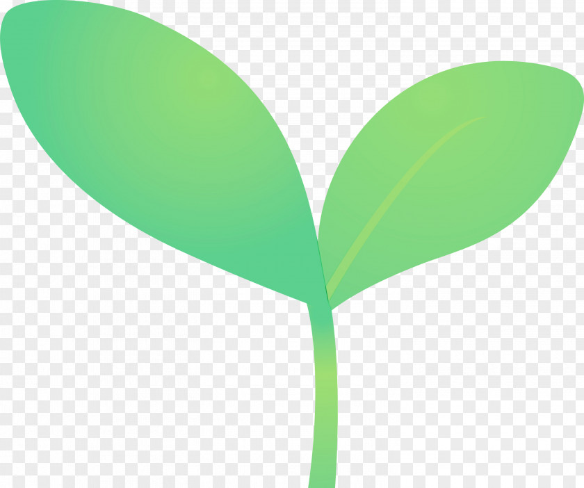 Green Leaf Plant Flower Grass PNG