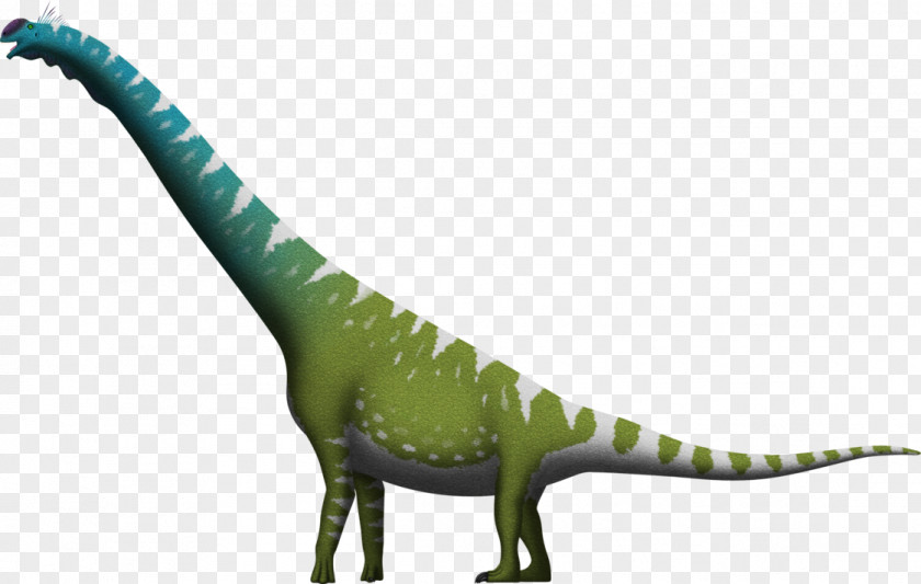 Jurassic Park Brachiosaurus Dinosaur Size Apatosaurus Morrison Formation PNG