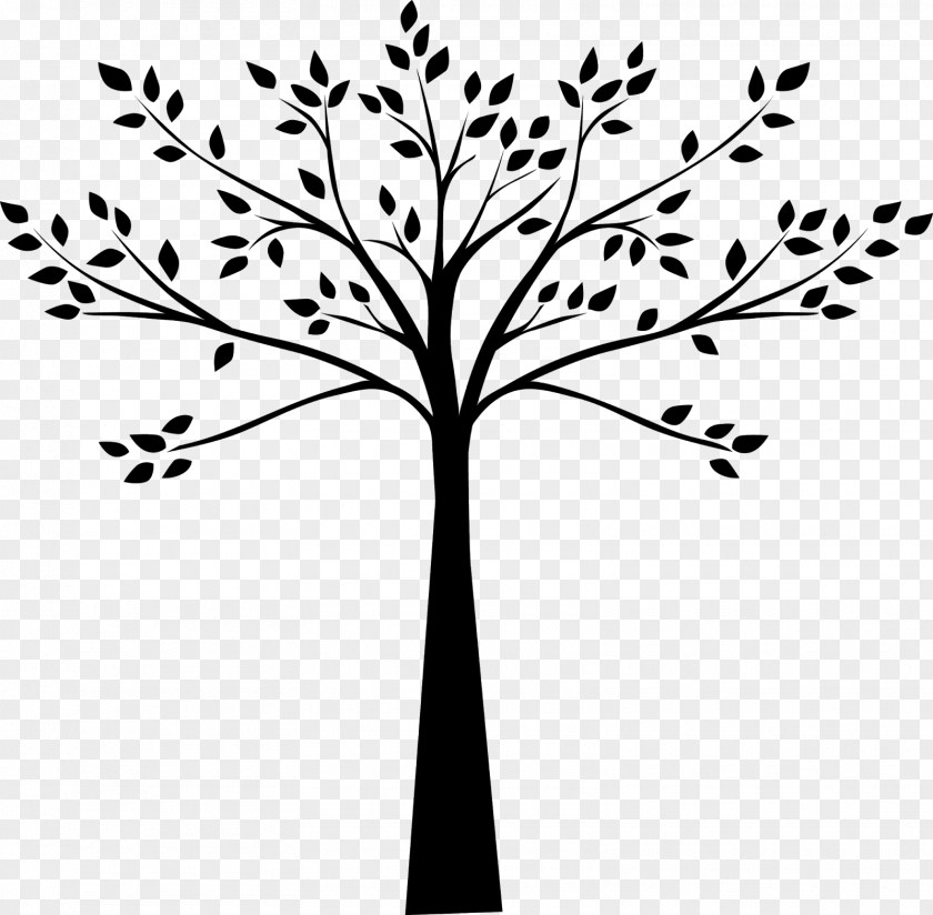 Plum Tree Drawing Line Art Black And White PNG