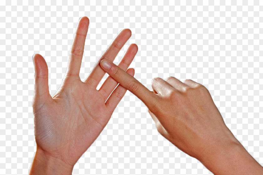 Slender Fingers Thumb Finger Hand PNG