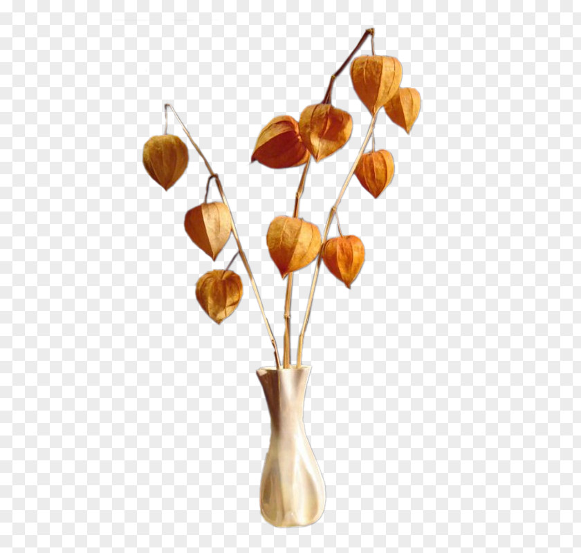 Vase Flower Clip Art PNG