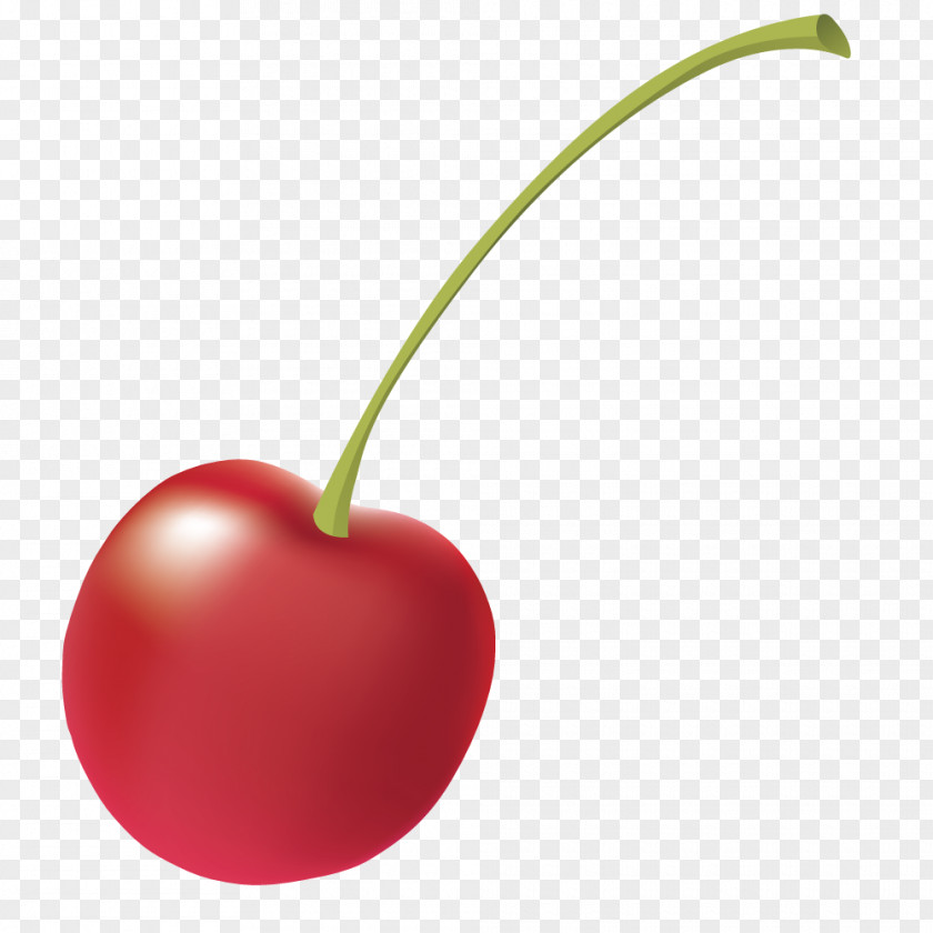 Vector Cute Little Cherry Apple Heart Superfood PNG