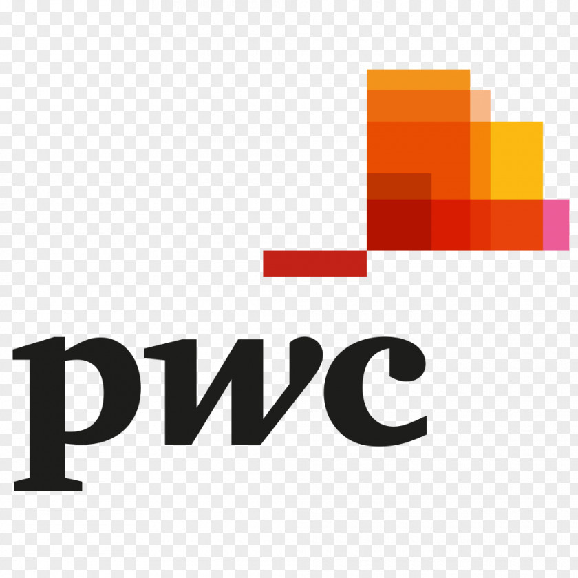 Waverunner Logo PricewaterhouseCoopers PwC Kristiansand Brand PNG