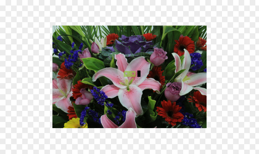 Flower Floral Design Cut Flowers Bouquet Plant PNG