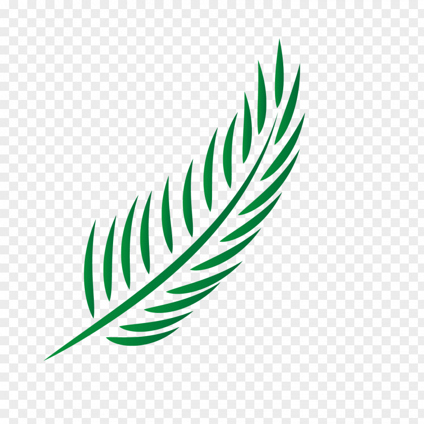 Green Vector Palm Euclidean Icon PNG