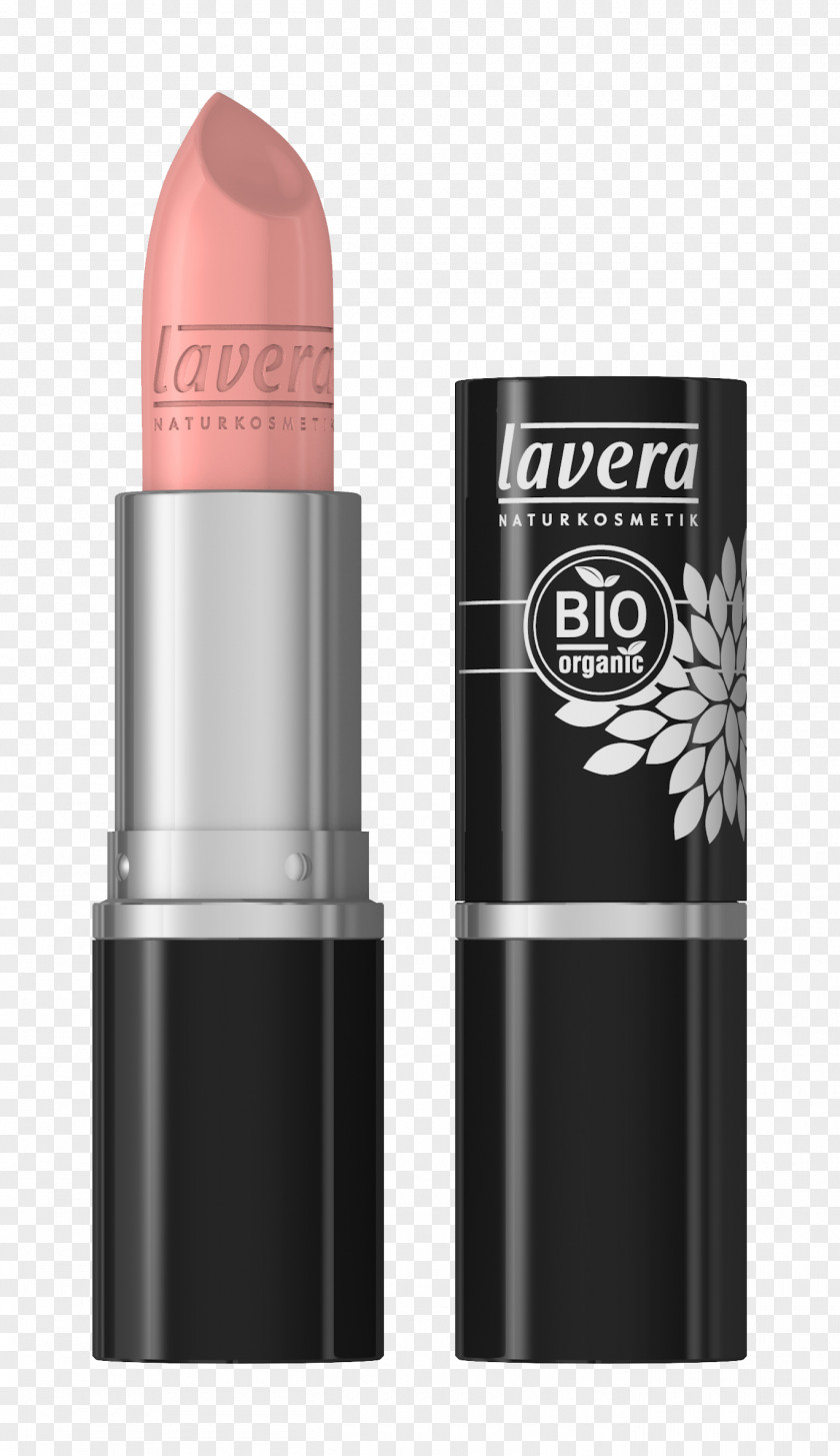 Lipstick Color Cosmetics Red PNG