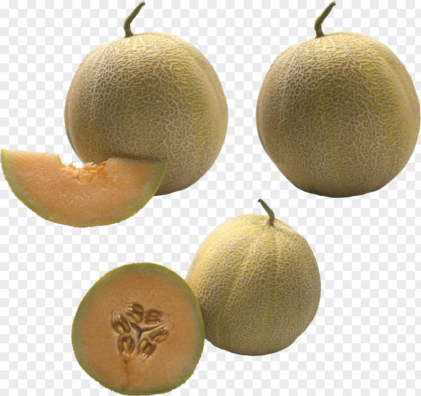 Mangosteen Cantaloupe Food Fruit Honeydew PNG
