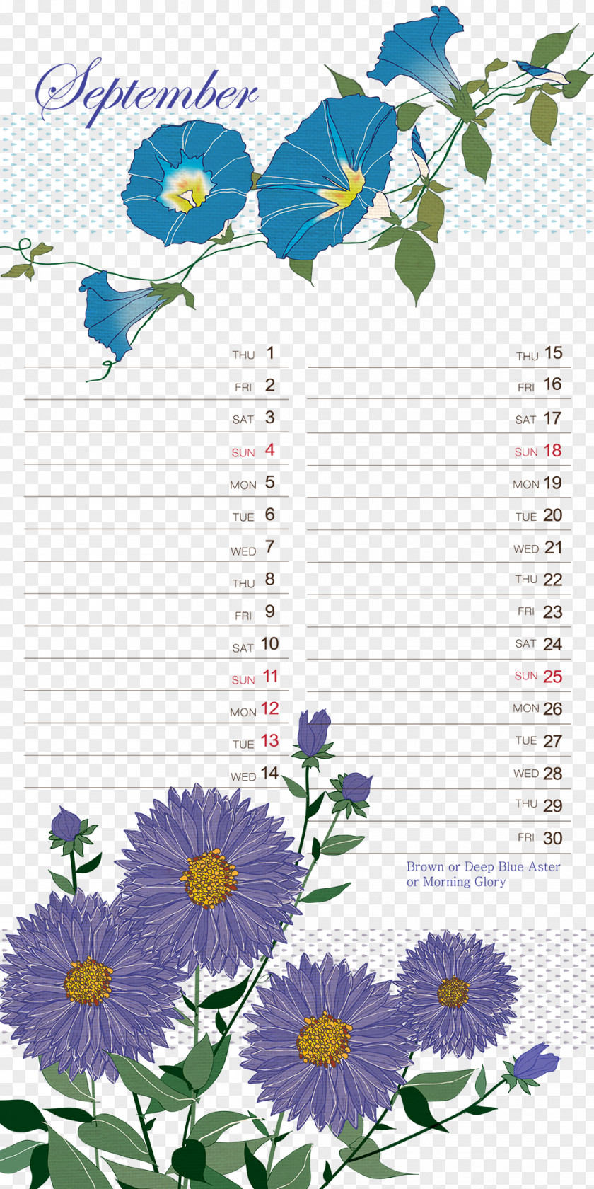 Morning Glory Background Pattern Template Calendar Poster Clip Art PNG