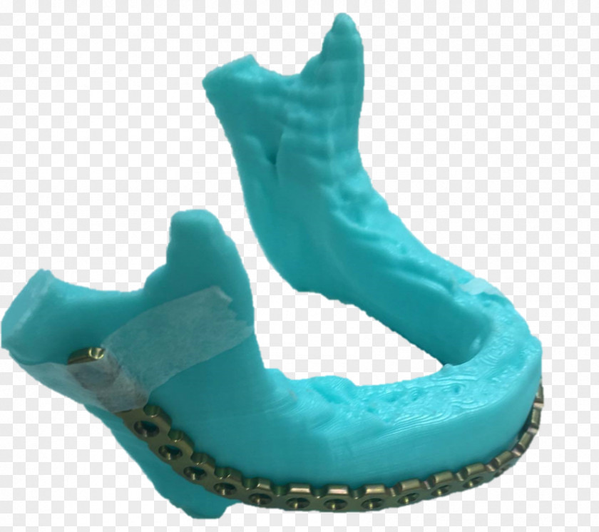 Opi Model Marine Mammal Turquoise Shoe PNG