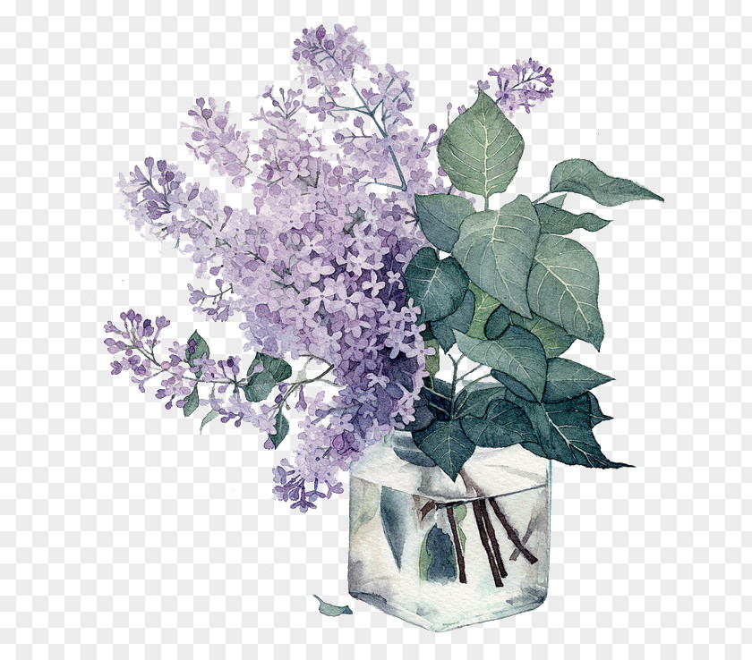 The Glass Plant Watercolor: Flowers Paper Watercolor Painting Illustration PNG